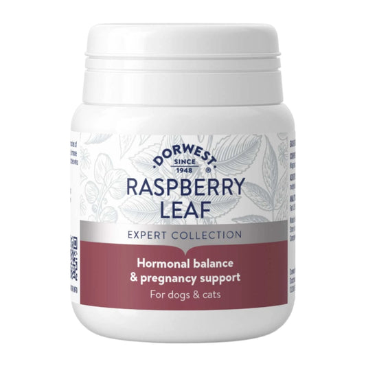 Dorwest Herbs Raspberry Leaf Tablets ¨C Natural Support for Female Dogs During Key Life Stages